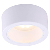Купить Потолочный светильник Arte Lamp Effetto A5553PL-1WH в Туле