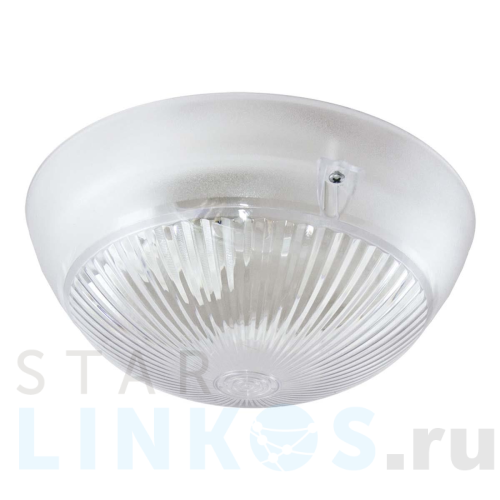 Купить с доставкой Настенно-потолочный светильник TDM Electric Сириус НПП 03-100-010.01 SQ0311-0007 в Туле