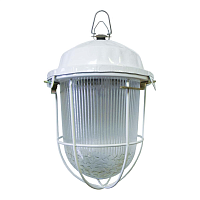 Купить Уличный подвесной светильник TDM Electric НСП 02-100-002.01 SQ0310-0002 в Туле