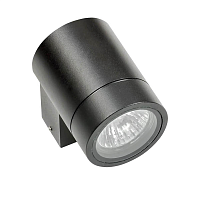Купить Уличный настенный светильник Lightstar Paro 350607 в Туле
