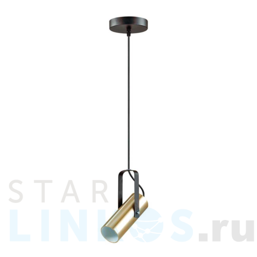 Купить с доставкой Подвесной светильник Lumion Moderni Claire 3714/1 в Туле