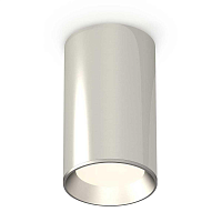 Купить Комплект потолочного светильника Ambrella light Techno Spot XC (C6325, N6104) XS6325002 в Туле
