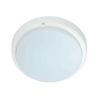 Купить Настенно-потолочный светодиодный светильник IEK ДПО LDPO0-4007-15-6500-K01 в Туле