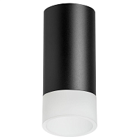 Купить Потолочный светильник Lightstar Rullo (214437+202431) R43731 в Туле