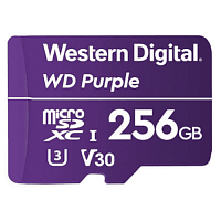 Купить Карта памяти Western Digital WDD256G1P0A объемом 256 Гбайт в Туле