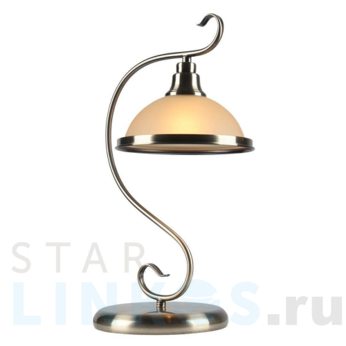 Купить с доставкой Настольная лампа Arte Lamp Safari A6905LT-1AB в Туле