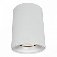 Купить Потолочный светильник Arte Lamp Torre A1532PL-1WH в Туле