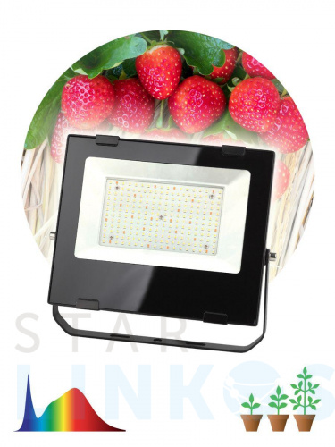 Купить с доставкой Прожектор светодиодный для растений ЭРА 100W 4000K Fito-100W-Ra90-Led Б0047876 в Туле фото 2