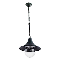 Купить Уличный подвесной светильник Arte Lamp Malaga A1085SO-1BG в Туле