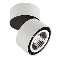 Купить Потолочный светодиодный светильник Lightstar Forte Muro 213850 в Туле