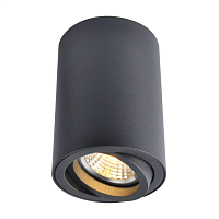Купить Потолочный светильник Arte Lamp A1560PL-1BK в Туле