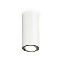 Купить Комплект накладного светильника Ambrella light Techno Spot XS7442003 SWH/PSL белый песок/серебро полированное (C7442, N7003) в Туле