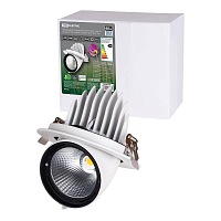 Купить Встраиваемый светодиодный светильник TDM Electric Акцент-1DSL-01-040-NW SQ0369-0405 в Туле