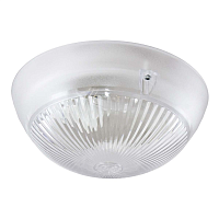 Купить Настенно-потолочный светильник TDM Electric Сириус НПП 03-100-010.11 SQ0311-0010 в Туле