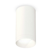 Купить Комплект потолочного светильника Ambrella light Techno Spot XC (C6322, N6130) XS6322020 в Туле