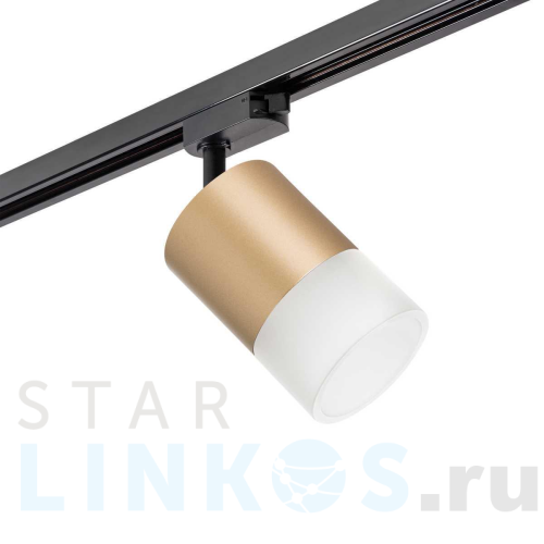 Купить с доставкой Трековый светильник Lightstar Rullo (213490+592087+202481) R1T349081 в Туле