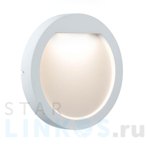 Купить с доставкой Настенный светодиодный светильник Paulmann Special Line Wall Led Flow 93822 в Туле